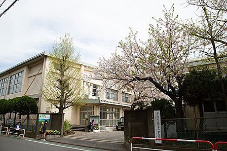 ■市川市立信篤小学校・約1300m