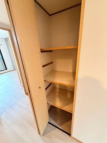 どう使うか選択肢が多く悩んでしまう程、収納充実しています。
