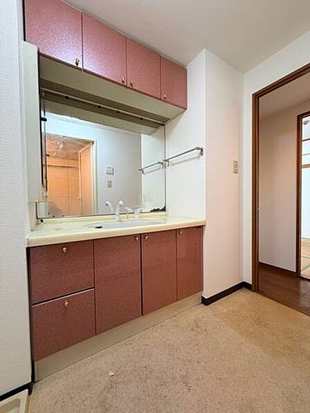 ワイドなつくりの洗面スペースで朝の身支度もスムーズに!