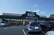Seria(セリア) 穂波店 583m