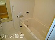 同型