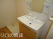 同型