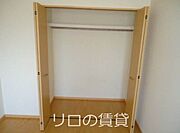同型