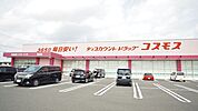 ディスカウントドラッグコスモス柏の森店 1063m