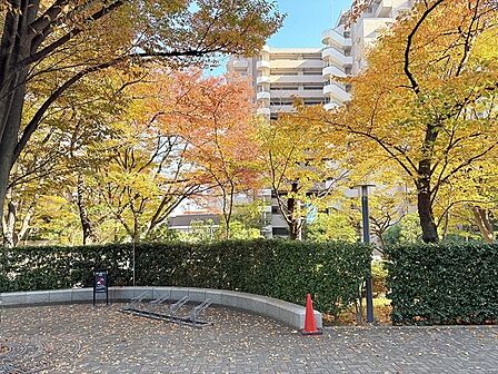 敷地内でも緑を感じられる広い中庭です