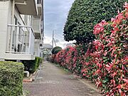 建物入り口への通路です。赤くなったカナメモチの生け垣が明るい雰囲気にしてくれています。
