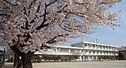 さいたま市立太田小学校（777m）
