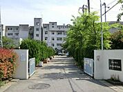 草加市立新田中学校（1310m）