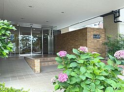 6 / 8