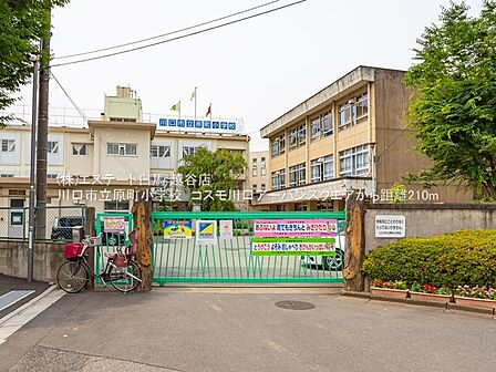 川口市立原町小学校(410m)
