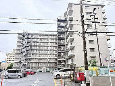 外観 外観