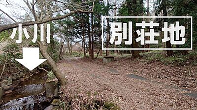 外観：目の前には小川あり。小魚も泳いでいます。土地には草木が生えてます