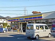 ミニストップ神代植物公園前店 499m