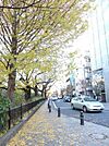 風の散歩道 300m