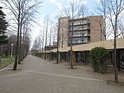 東京外国語大学 400m