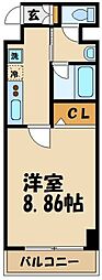 ドムス 1Kの間取図画像