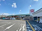 コメリハード＆グリーン 碧南店（1260m）