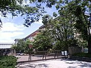 安城市立篠目中学校（1023m）