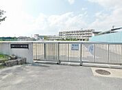 岡崎市立六ツ美中学校（4000m）
