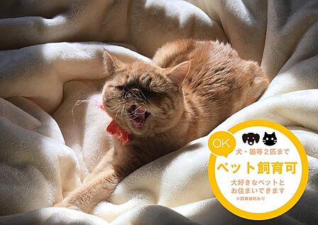 ペット飼育可能です。詳細はスタッフまでお問い合わせください。