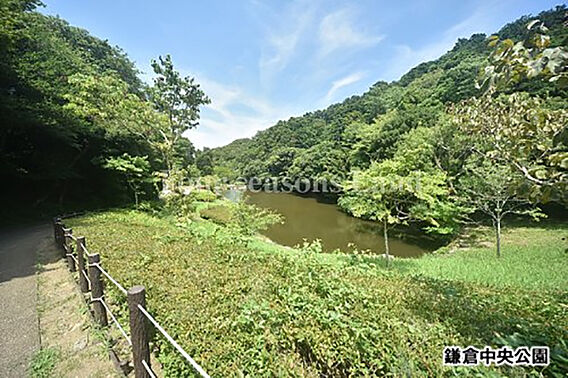 鎌倉中央公園ま...