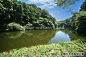 散在ガ池森林公園まで約495m