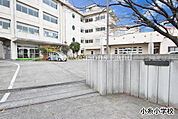 小糸小学校まで約757m