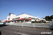 オリンピック藤沢店まで約214m