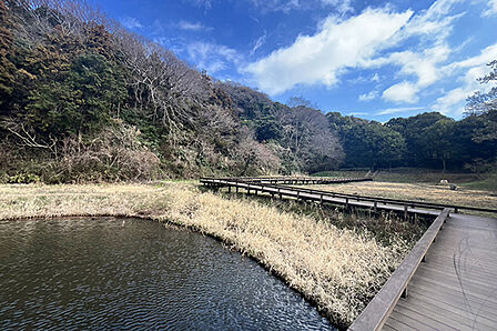 新林公園まで約293m