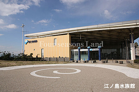 新江ノ島水族館まで約159m