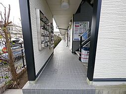 18 / 33
