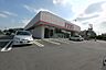 周辺：ファッションセンターしまむら大和田店 981m
