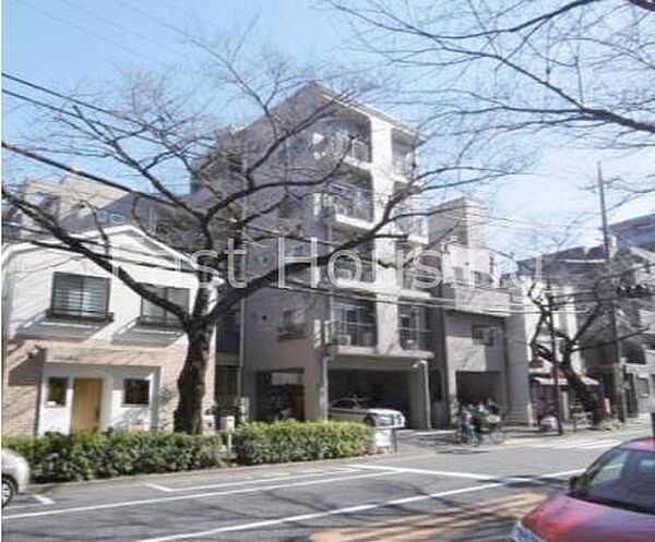 東京都中野区松が丘１丁目(賃貸マンション1K・2階・20.00㎡)の写真 その1