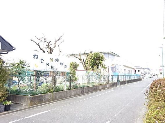 ねむのき幼稚園...