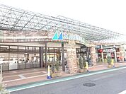 マルフジ　千ヶ瀬店平日