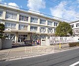 大山崎小学校まで550m