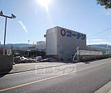 コーナン　向日町大原野店まで1700m 何でも揃う大型のホームセンターです。