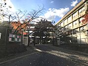 豊中市立泉丘小学校（504m）