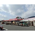 ホームセンター「ホームセンタージュンテンドー古市まで921ｍ」