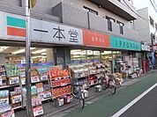 ドラッグストア一本堂都立家政店 徒歩15分。ドラックストア 1200m