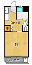 福岡県久留米市篠山町250（賃貸マンション1DK・3階・26.42㎡） その2