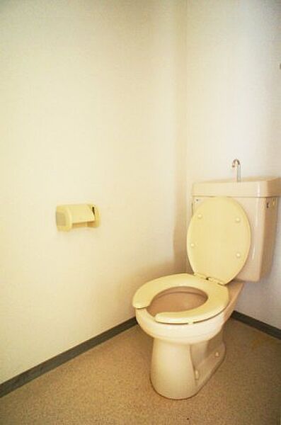 画像8:落ち着いた色調のトイレです