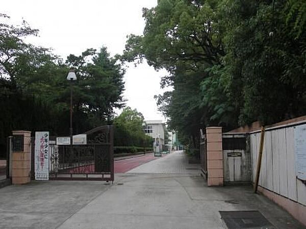 周辺を拡大表示