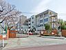 周辺：【小学校】楢原小学校まで681ｍ