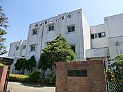 八王子市立横山第一小学校（809m）