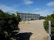 中央林間小学校まで約228ｍ