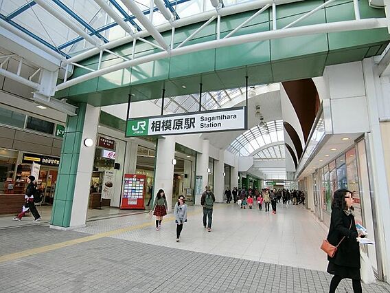 相模原駅まで約...