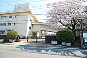 麻溝台中学校まで約1097ｍ