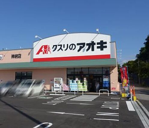 ドラックストア...