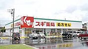 スギ薬局岩槻駅東口店 805m